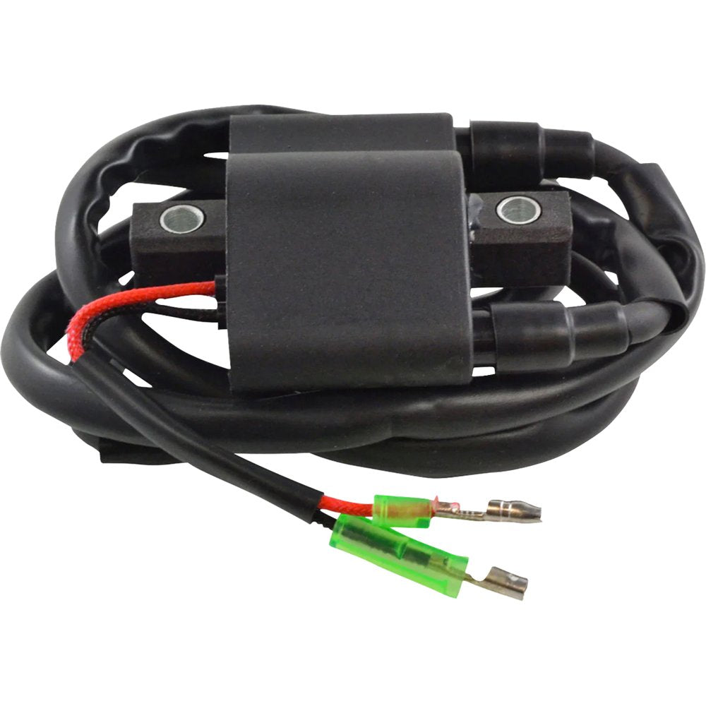 RM STATOR Ignition Coil - External - Arctic Cat RM06061