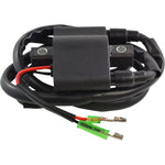 RM STATOR Ignition Coil - External - Arctic Cat RM06061