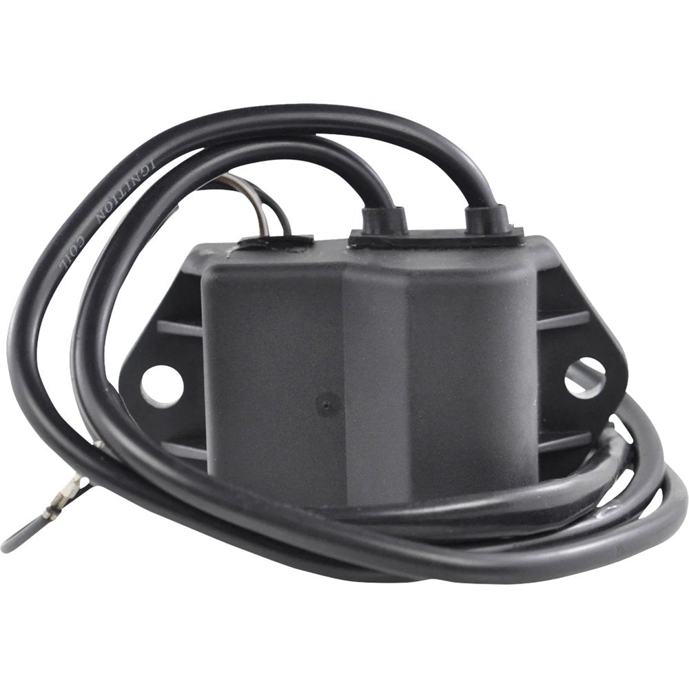 RM STATOR CDI Box - Polaris RM02015