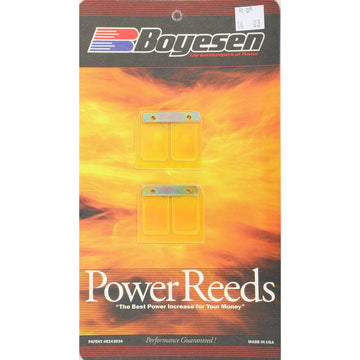 Motorcycle Rad Valve Reeds