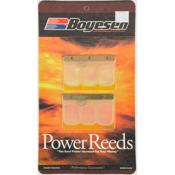 Motorcycle Rad Valve Reeds