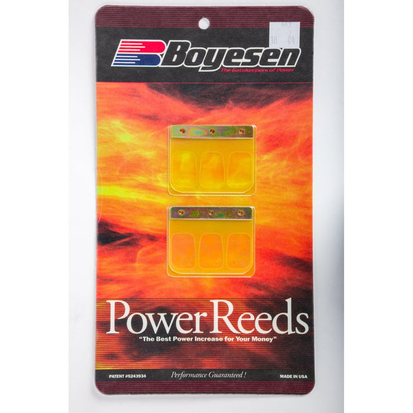 Motorcycle Reeds