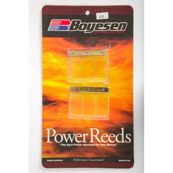 Motorcycle Reeds