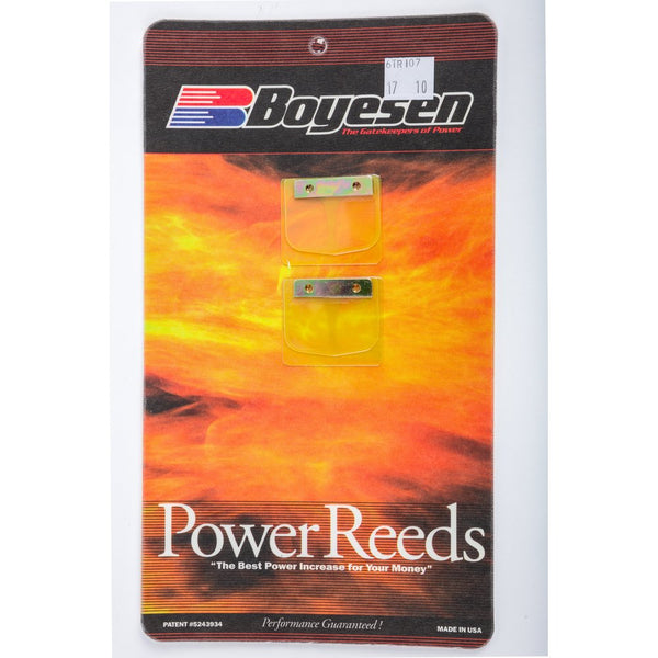 Motorcycle Reeds