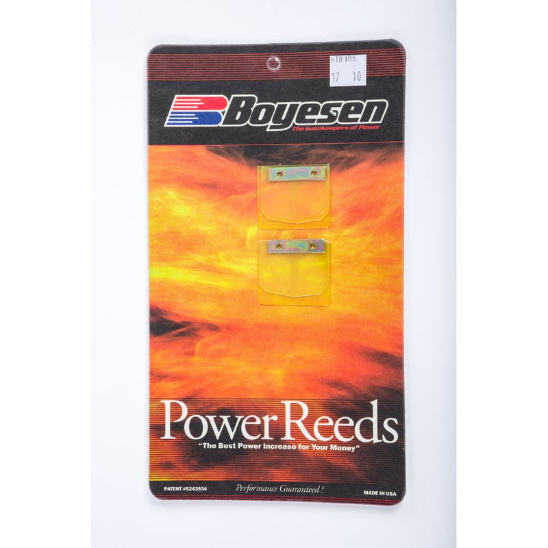 Motorcycle Reeds