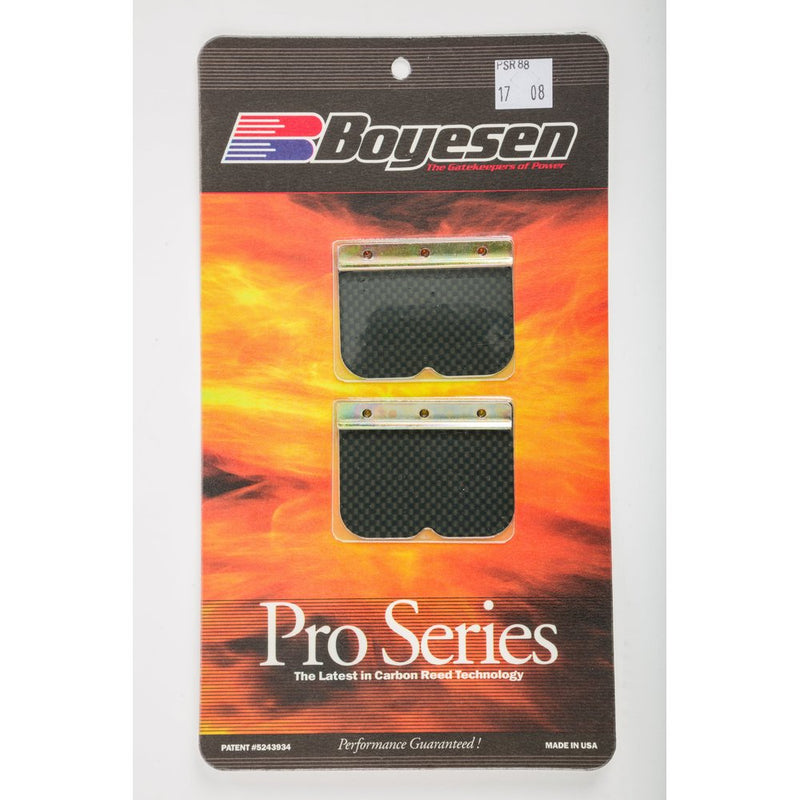 Motorcycle Pro Reeds
