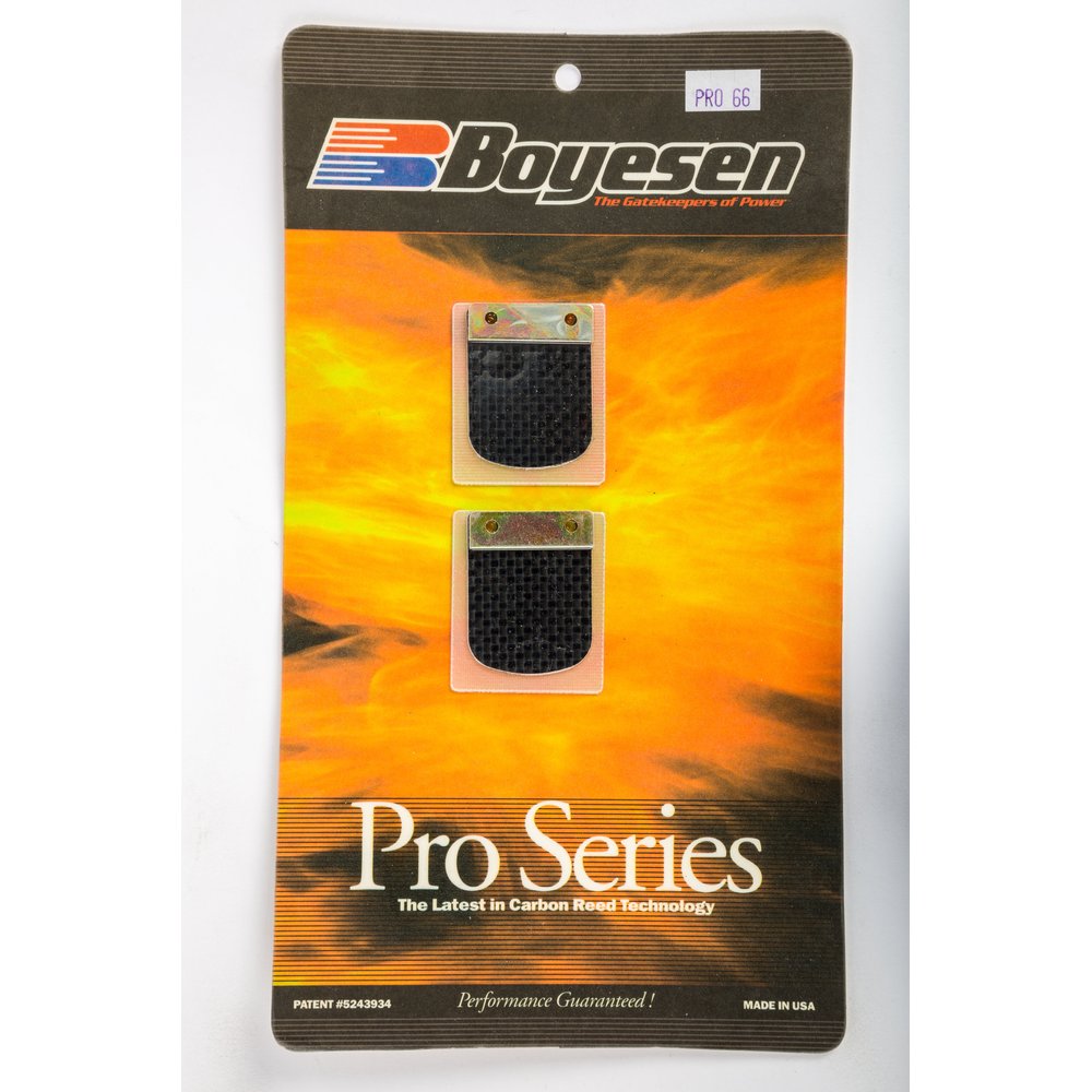 Motorcycle Pro Reeds