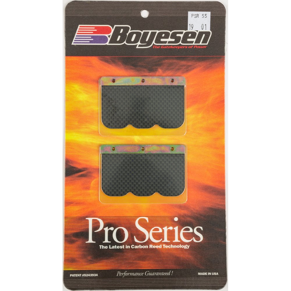 Motorcycle Pro Reeds