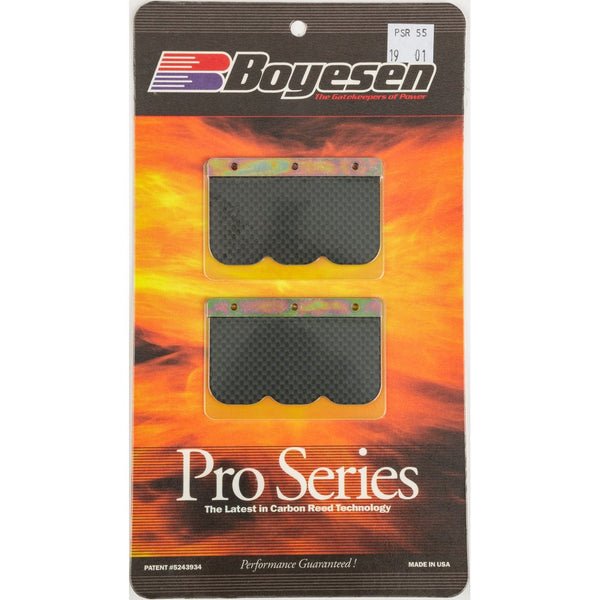 Motorcycle Pro Reeds