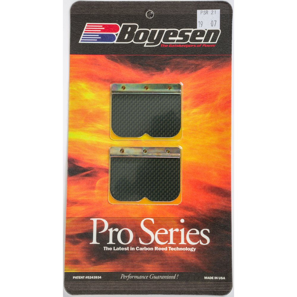 Motorcycle Pro Reeds
