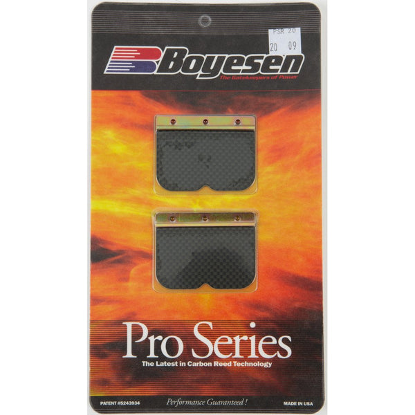 Motorcycle Pro Reeds