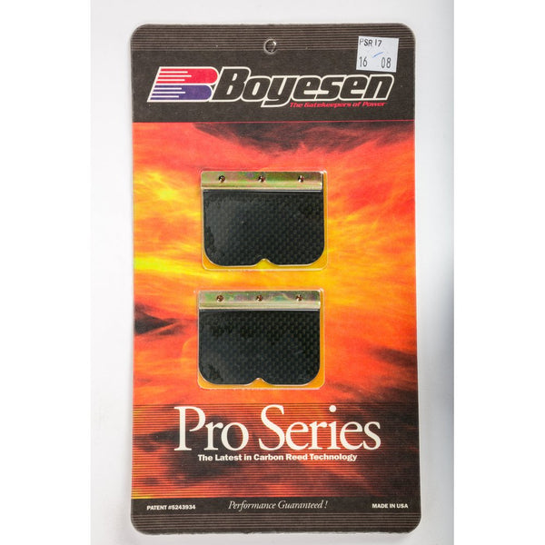 Motorcycle Pro Reeds