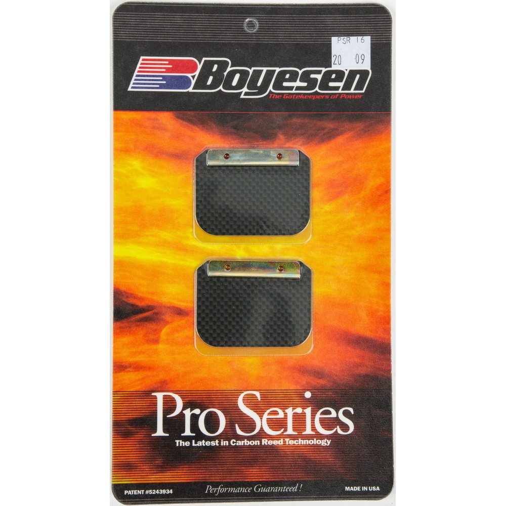 Motorcycle Pro Reeds