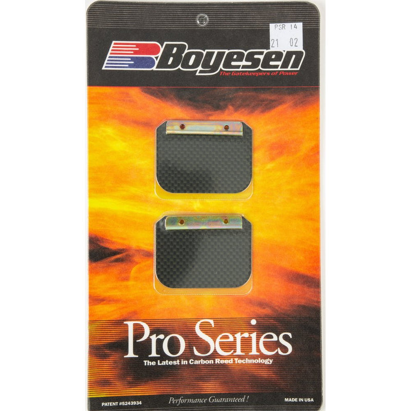 Motorcycle Pro Reeds