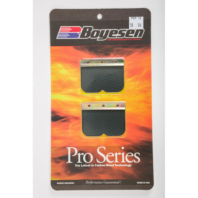 Motorcycle Pro Reeds