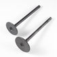 Valve Set Pol