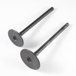 Valve Set Pol