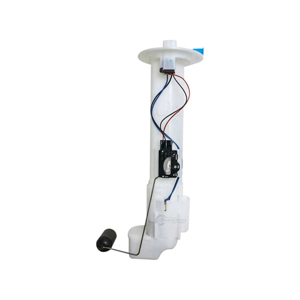 Complete Fuel Pump Assembly