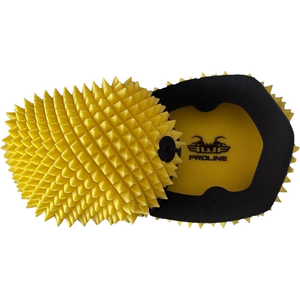 Air Filter Proline