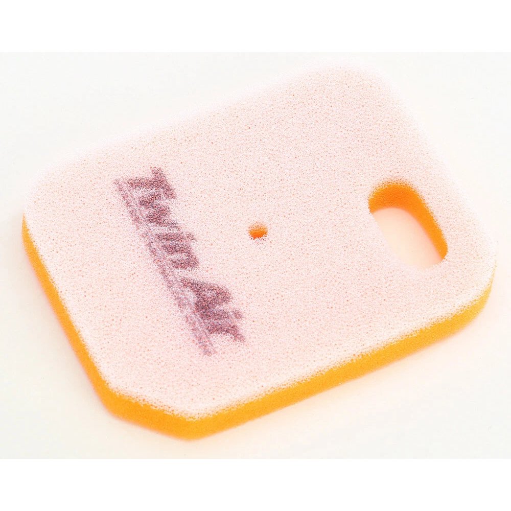 Twin Air Air Filter 152910