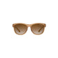 Tifosi Optics Swank Crystal  Brown / Onyx Brown Gradient Sunglasses