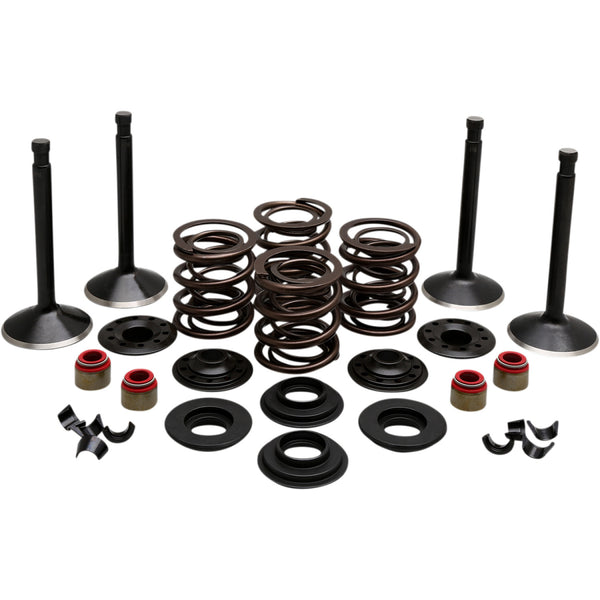 Kibblewhite Engine Kit - Panhead 20-22150