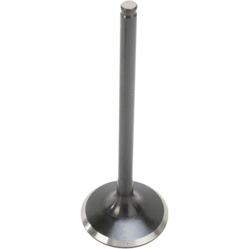 Kibblewhite Intake Valve 30-31462 | Valves & Parts | Kibblewhite