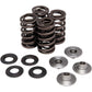 KIBBLEWHITE Spring Kit 40-40100