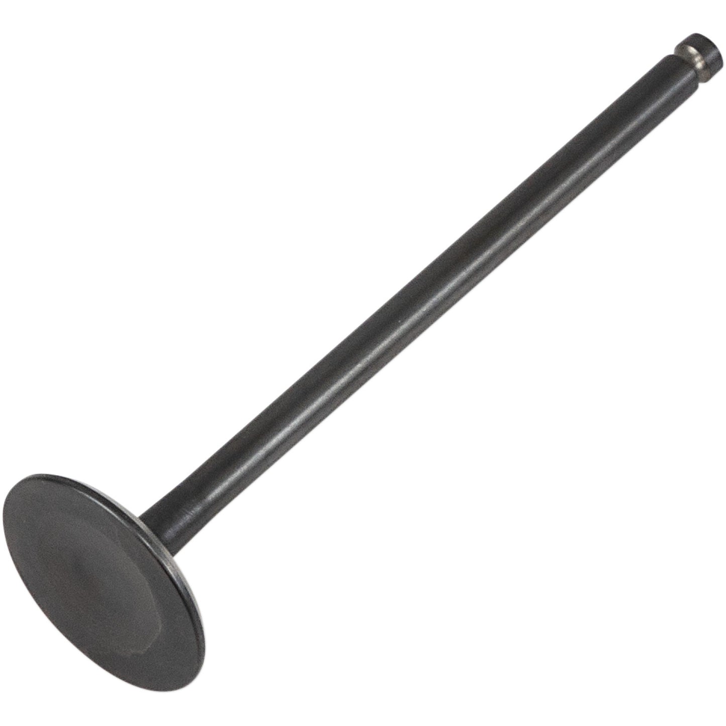 Kibblewhite Exhaust Valve 40-40416 | Valves & Parts | Kibblewhite