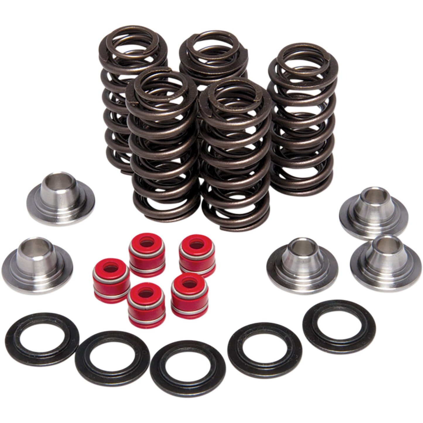 KIBBLEWHITE Valve Spring Kit 80-80206
