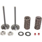 Moose Racing Intake Valve Kit M30-31200
