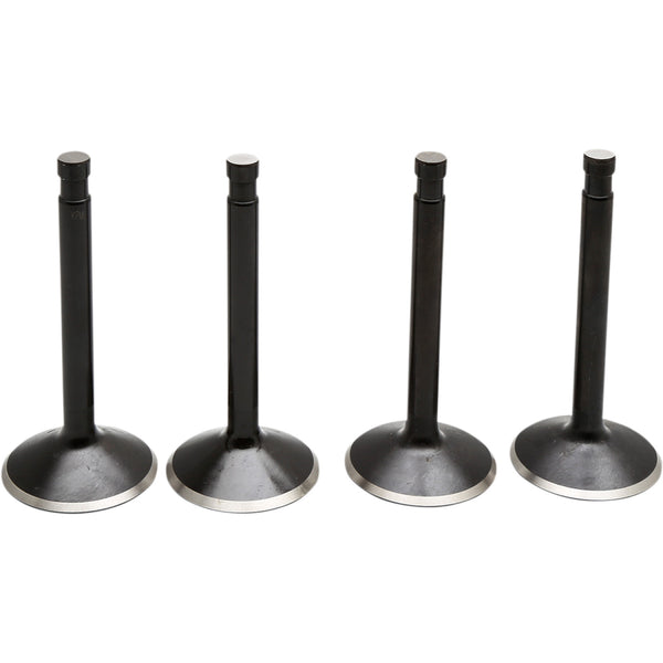 Kibblewhite Valve Kit - Panhead 20-22100
