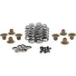 Kibblewhite Beehive Spring Kit - 0.640" Lift - Titanium - M8 | CVO 20-24350 | Valves & Parts | Kibblewhite