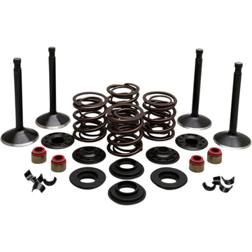 Kibblewhite Engine Kit 20-22450 | Valves & Parts | Kibblewhite