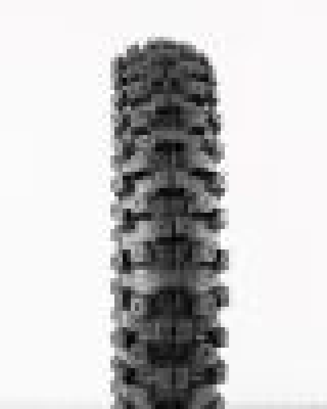 ProTaper MXT 04 Front Tire 60/100-12