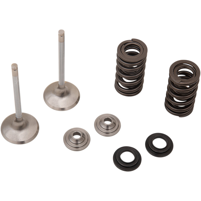 Moose Racing Valve and Spring Kit M30-32785