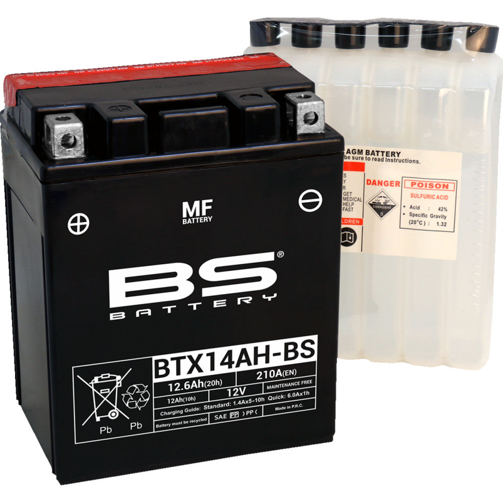 BS Battery Battery - BTX14AH-BS (YTX) 300606