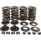 Kibblewhite Spring Kit - .655" 20-20081 | Valves & Parts | Kibblewhite