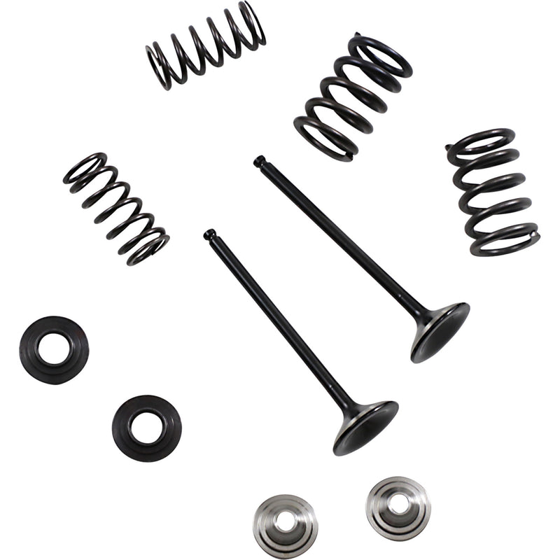 Moose Racing Valve and Spring Kit M80-82360