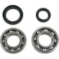 Moose Racing Crank Bearings and Seals - Suzuki 24-1037