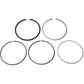 Athena Piston Ring Set S41316030 | Rings Only