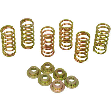 Barnett Clutch Spring Kit 505-45-06050 | Clutch Plates & Springs