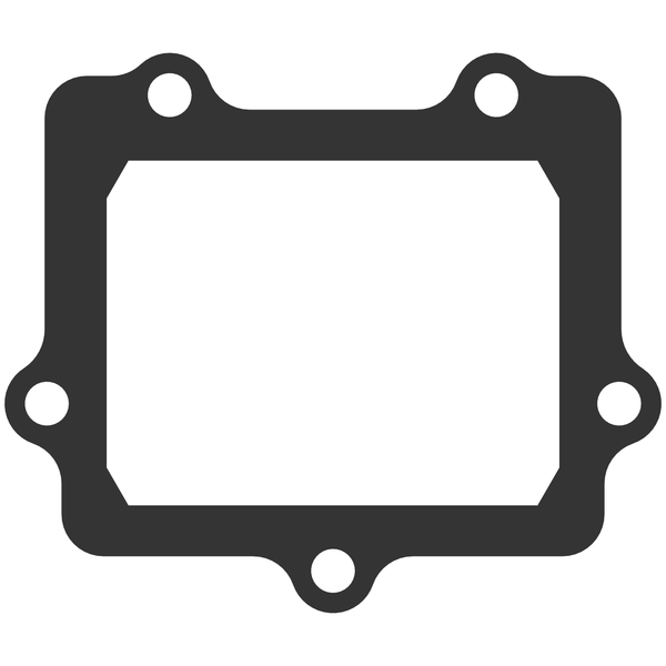 Vforce3 Gasket