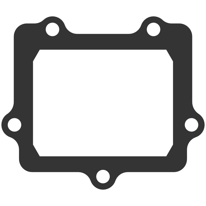 Vforce3 Gasket
