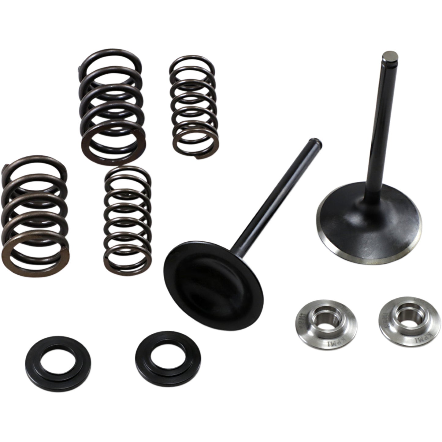 Kibblewhite Intake Spring Kit 30-33250 | Valves & Parts | Kibblewhite