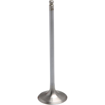 Kibblewhite Intake Valve - Standard 91-91312H | Valves & Parts | Kibblewhite