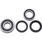 EPI Wheel Bearing Kit - Rear WE301443