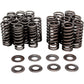 KIBBLEWHITE Valve Spring Kit 80-80394