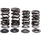 KIBBLEWHITE Spring Kit 30-32800