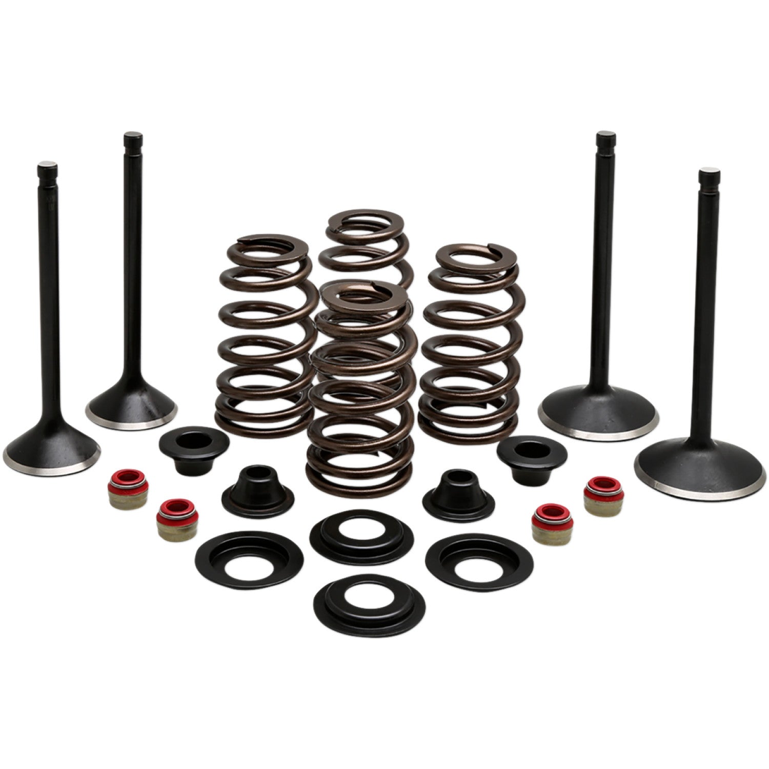 Kibblewhite Complete Valve Kit - Evolution/1200 20-22850 | Valves & Parts | Kibblewhite